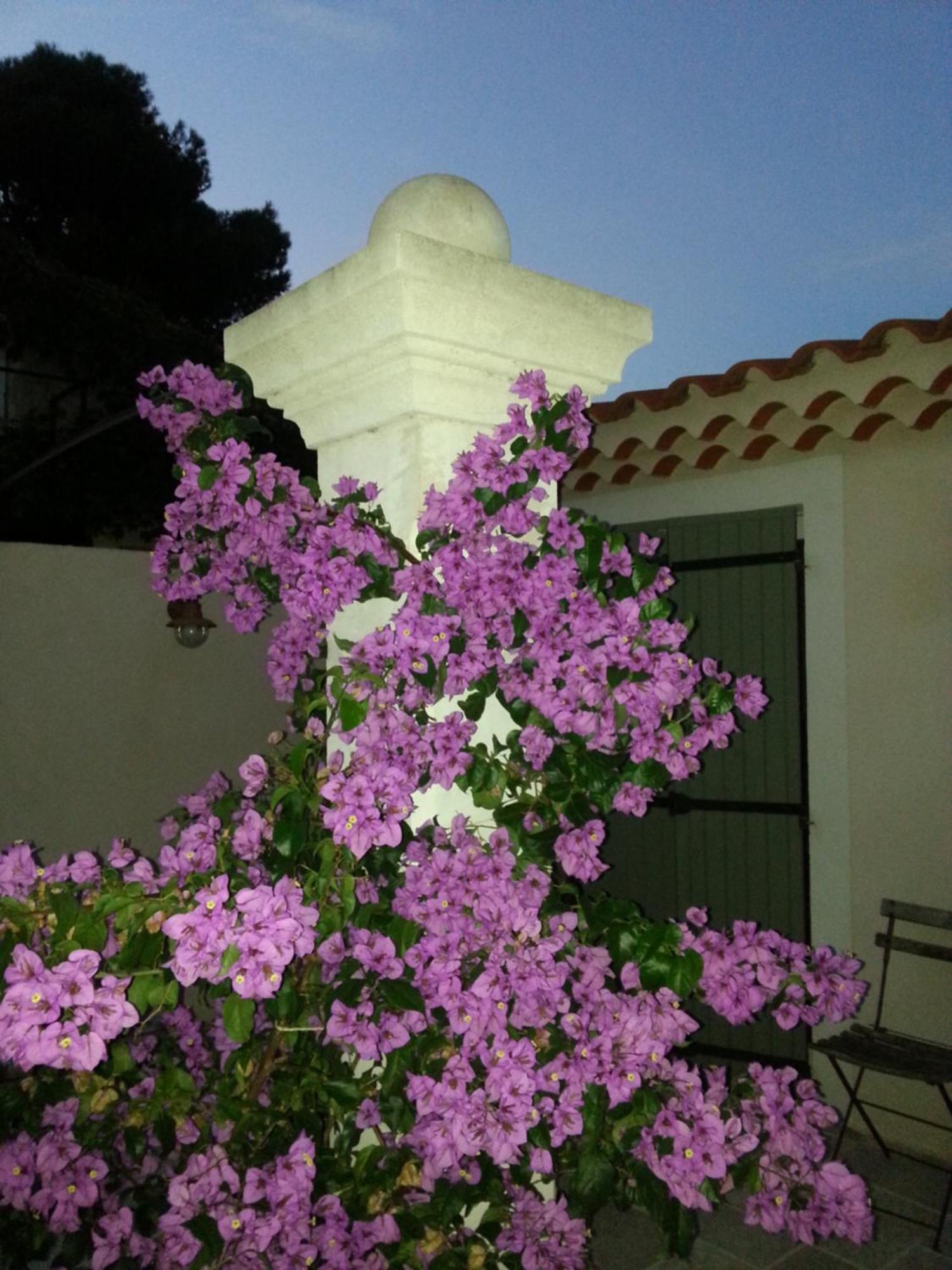 Gite Le Felibre Châteauneuf-lès-Martigues Cameră foto