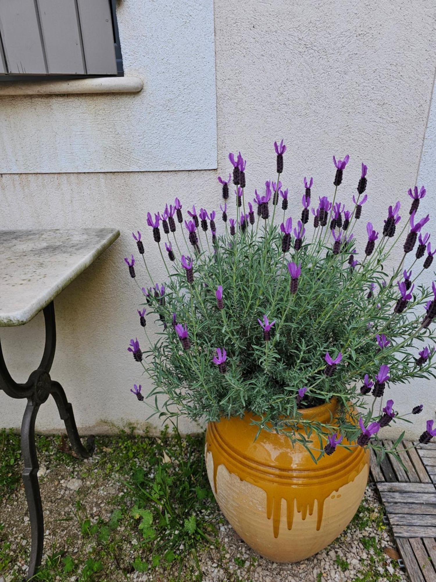 Gite Le Felibre Châteauneuf-lès-Martigues Exterior foto